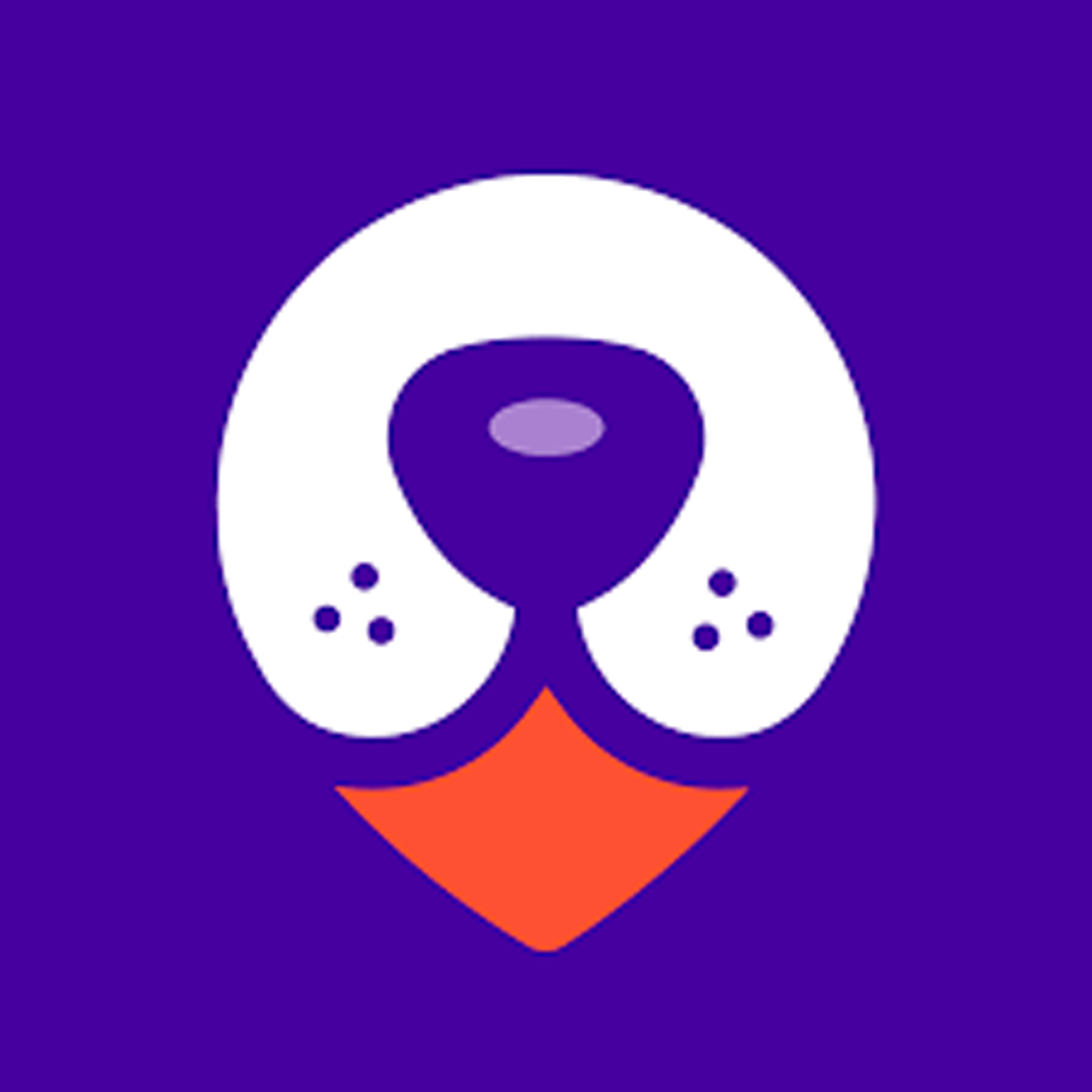 logo Puntovet