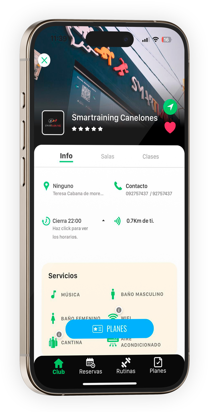Phone Mockup
